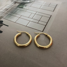Load image into Gallery viewer, DIANELLA simple hoops
